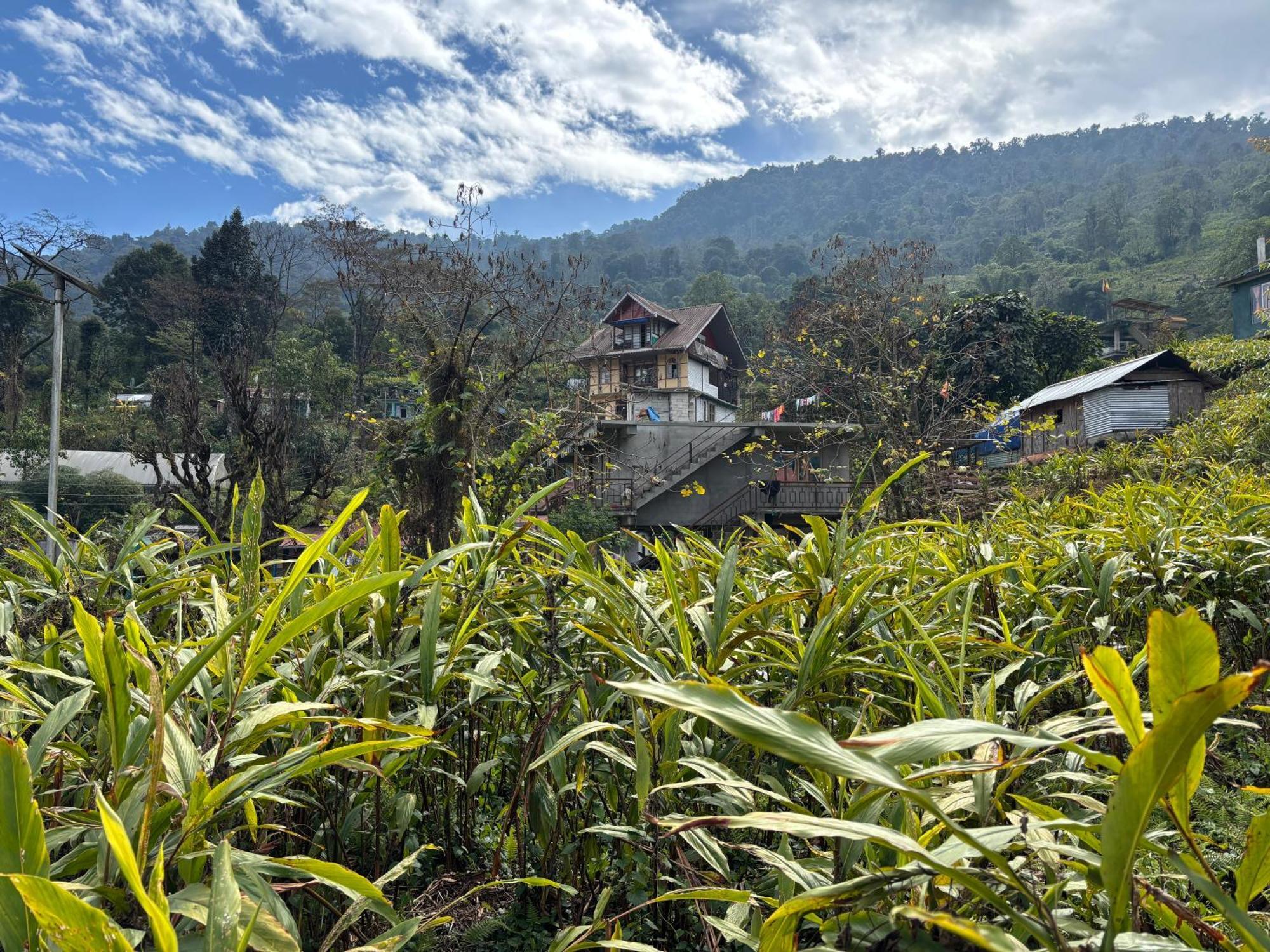 Odyssey'S Darap Eco Retreat Apartment Pelling Exterior foto