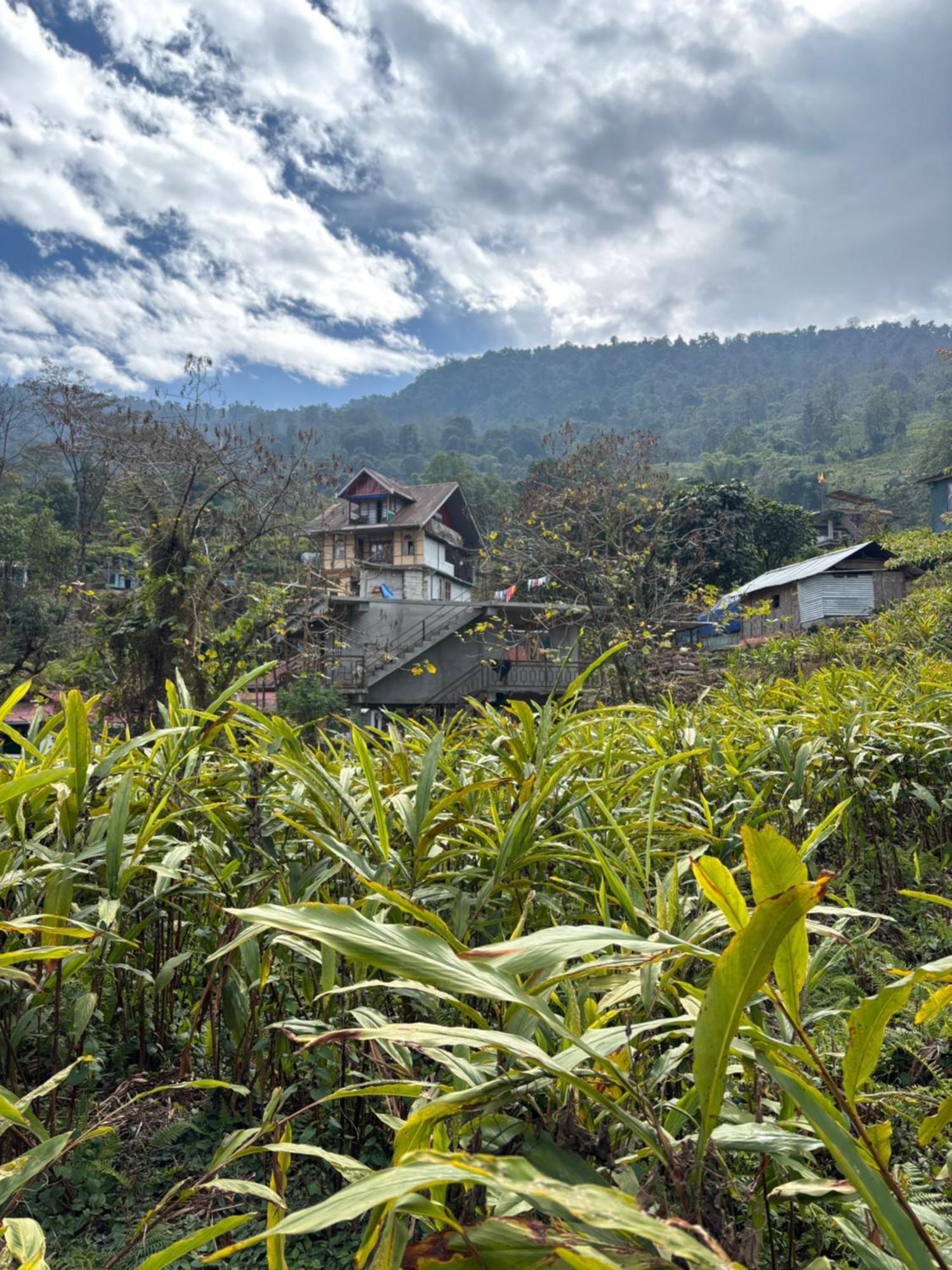 Odyssey'S Darap Eco Retreat Apartment Pelling Exterior foto